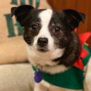 Meet your Posher, Vicki